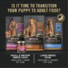 Purina Pro Plan FOCUS High Protein, Chicken and Brown Rice Entree Puppy Food Pate, 13 oz., Case of 12