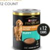 Purina Pro Plan FOCUS High Protein, Chicken and Brown Rice Entree Puppy Food Pate, 13 oz., Case of 12