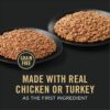 Purina Pro Plan Grain Free Complete Essentials, Chicken & Carrots and Turkey & Sweet Potato Wet Dog Food, 13 oz., Count of 12