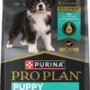 Purina Pro Plan High Protein DHA Lamb & Rice Formula Puppy Food, 34 lbs.