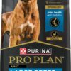 Purina Pro Plan High Protein Digestive Health Chicken and Rice Formula Large Breed Dry Dog Food, 34 lbs.