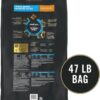 Purina Pro Plan High Protein Digestive Health Chicken and Rice Formula Large Breed Dry Dog Food, 47 lbs.