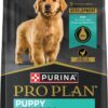 Purina Pro Plan High Protein Shredded Blend Chicken & Rice Formula Puppy Food, 34 lbs.