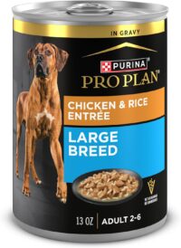 Purina Pro Plan Large Breed Chicken and Rice Entree Gravy Adult Wet Food for Large Dogs, 13 oz., Case of 12