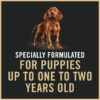 Purina Pro Plan Puppy Classic Sensitive Stomach and Skin with Salmon and Rice Entree Wet Dog Food, 13 oz., Case of 12
