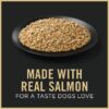 Purina Pro Plan Senior Sensitive Stomach and Skin with Salmon and Rice Entree Wet Dog Food, 13 oz., Case of 12