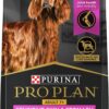 Purina Pro Plan Sensitive Skin & Stomach Formula Senior Adult 7+ Salmon & Rice Dry Dog Food, 24 lbs.