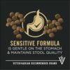 Purina Pro Plan Sensitive Skin & Stomach, Salmon & Rice Formula Large Breed Dry Puppy Food, 16 lbs.