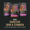 Purina Pro Plan Sensitive Skin and Stomach, Lamb and Oat Meal Entree Wet Dog Food Pate, 13 oz., Case of 12
