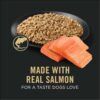 Purina Pro Plan Sensitive Skin and Stomach, Salmon and Rice Entree Wet Dog Food Pate, 13 oz., Case of 12