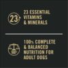 Purina Pro Plan Sensitive Skin and Stomach, Salmon and Rice Entree Wet Dog Food Pate, 13 oz., Case of 12