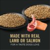 Purina Pro Plan Sensitive Skin and Stomach, Salmon and Rice and Lamb and Oat Meal Wet Dog Food Variety Pack, 13 oz., Count of 12
