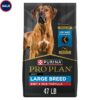 Purina Pro Plan Specialized Beef and Rice Formula Large Breed Dry High Protein Food With Probiotics for Dogs, 47 lbs.