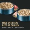 Purina Pro Plan Specialized Chicken & Rice, Beef & Rice Entree Adult Large Breed Wet Dog Food Variety Pack, 13 oz., Count of 12
