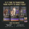 Purina Pro Plan Sport Development Large Breed 30/18 Chicken and Rice High Protein Dry Food Puppy Formula, 35 lbs.