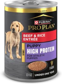 Purina Pro Plan Sport High Protein Beef & Rice Wet Puppy Food, 13 oz., Case of 12