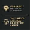 Purina Pro Plan Sport High Protein Beef & Rice Wet Puppy Food, 13 oz., Case of 12