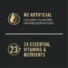 Purina Pro Plan Sport High Protein Beef & Rice Wet Puppy Food, 13 oz., Case of 12