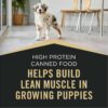 Purina Pro Plan Sport High Protein Beef & Rice Wet Puppy Food, 13 oz., Case of 12