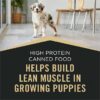 Purina Pro Plan Sport High Protein Chicken & Rice Wet Puppy Food, 13 oz., Case c 12