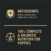 Purina Pro Plan Sport High Protein Chicken & Rice Wet Puppy Food, 13 oz., Case c 12