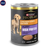 Purina Pro Plan Sport High Protein Chicken & Rice Wet Puppy Food, 13 oz., Case of 12