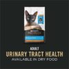 Purina Pro Plan Urinary Tract Health with Salmon Classic Wet Cat Food Pate, 5.5 oz., Case of 24