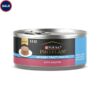 Purina Pro Plan Urinary Tract Health with Salmon Classic Wet Cat Food Pate, 5.5 oz., Case of 24