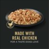 Purina Pro Plan Weight Management Wet Dog Food Chicken and Rice Entree in Gravy, 13 oz., Case of 12