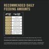 Purina Pro Plan with Probiotics Shredded Blend Chicken & Rice Formula Senior Dry Dog Food, 34 lbs.