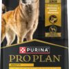 Purina Pro Plan with Probiotics for Dogs, Bright Mind 7+ Chicken & Rice Formula Senior Dog Food, 16 lbs.