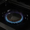 Royal Gourmet GA5404H Cabinet Style Black 5 -Burner Liquid Propane Gas Grill 1 -Side Burner