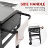 Royal Gourmet GB2000N 23-Inch Gas Griddle 2 -Burner Liquid propane Flat Top Grill