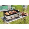 Royal Gourmet PD1300C 319-Sq. in Silver and black Portable Liquid propane Grill