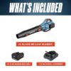 SENIX BLAX6-M1 60-volt 810-CFM 170-MPH Battery Handheld Leaf Blower 4 Ah Battery Included Charger Included