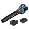 SENIX BLAX6-M1 60-volt 810-CFM 170-MPH Battery Handheld Leaf Blower 4 Ah Battery Included Charger Included