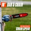 SENIX CSPX6-M X6 60-volt max 10-in 3 Ah Battery Pole Saw Battery Included , Charger Included