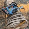 SENIX CSX2-M1 20-volt max 10-in Battery 2.5 Ah Chainsaw Battery Included Charger Included