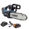 SENIX CSX2-M1 20-volt max 10-in Battery 2.5 Ah Chainsaw Battery Included Charger Included