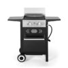Sunshine Valley E02GR010 Grill and Griddle Combo 2 -Burner Liquid propane Flat Top Grill