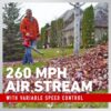 Toro 51621 UltraPlus 405-CFM 260-MPH Corded Electric Handheld Leaf Blower Toro 51621 UltraPlus 405-CFM 260-MPH Corded Electric Handheld Leaf Blower