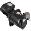 VEVOR 10M0000001V1 1-HP 110 -Volt 17.6-Gallon Cast iron Shallow well jet pump
