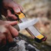 Work Sharp Precision Adjust Elite & Guided Field Knife Sharpener Kit - Professional Sharpening System for Kitchen, Pocket & Outdoor Knives - Complete 2-Piece Bundle Set