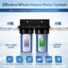 iSpring F2WGB21BDS Whole House 6-Months Replacement Filter 2 -Pack