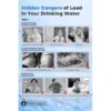 iSpring F3WGB32BCPB Whole House 12-Months Replacement Filter 3 -Pack