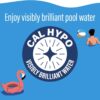 Poolife NST Tablets for Pool Sanitation, Clear Water & Prevent CYA Buildup - Slow-Dissolving Calcium Hypochlorate - Pool Chlorine Tablets Work with NST Feeder, Floater & Skimmer - 20.2 lb