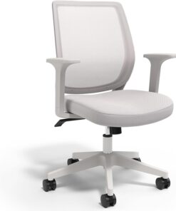 Staples Ergonomic Task Chair, Mesh, Gray