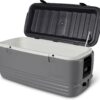 Igloo Hard Cooler | Polar & Party Bar Series | Insulated Ice Chests