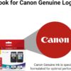 Canon PG-240 XL / CL-241 XL Genuine Ink Value Pack (2 Cartridges) with 50-Sheet Photo Paper, Compatible with MG2120/3120/4120/2220/3220/4220/3520/3620, MX372/392/432/452/472/512/522/532, TS5120