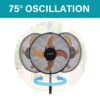 Brentwood 3 Speed Whisper Quiet Oscillating 12 Inch Pedestal Fan, Black